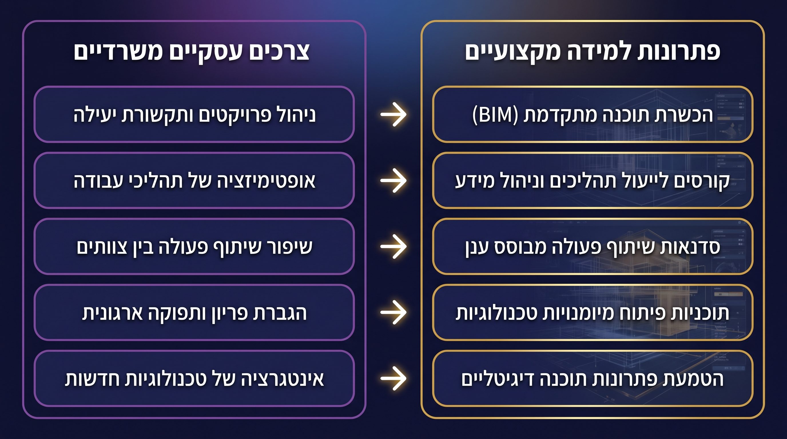 הצורך העסקי מול הפתרון המקצועי